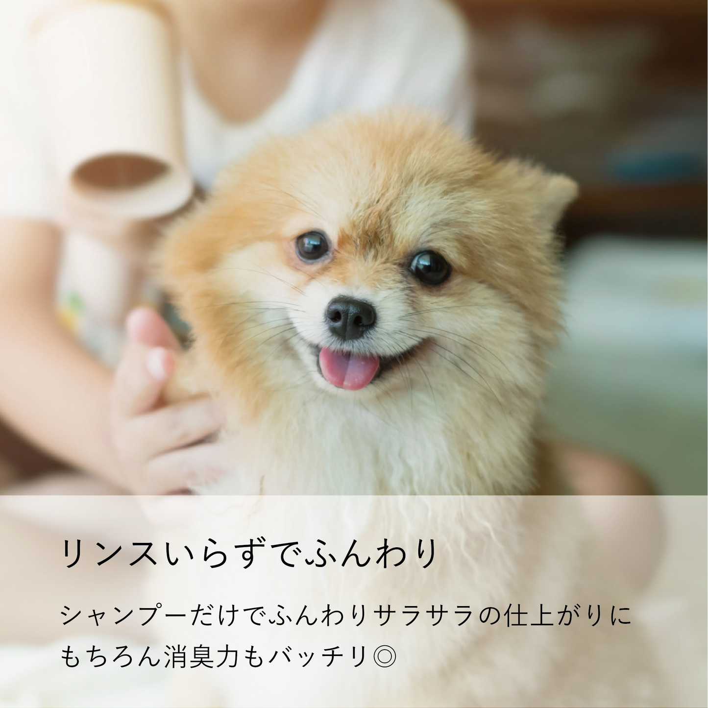 やさしい犬シャンプー はちみつ