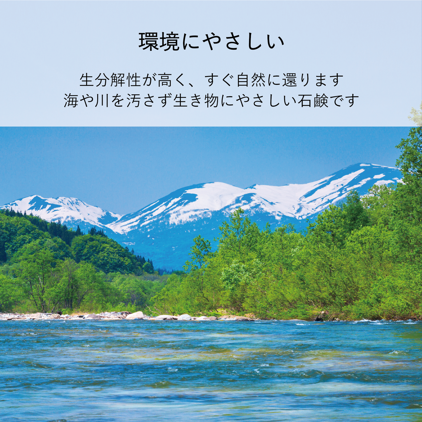 やさしい食器洗い 無香料