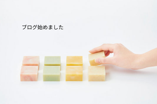 ブログ始めました